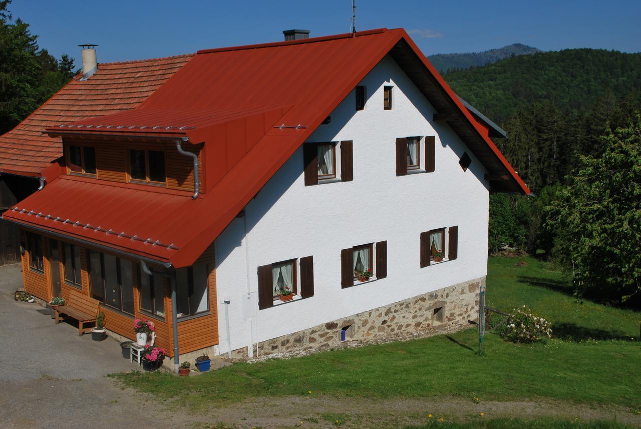 Ferienhaus "Lisa'S Haeusl" Neuschönau Extérieur photo