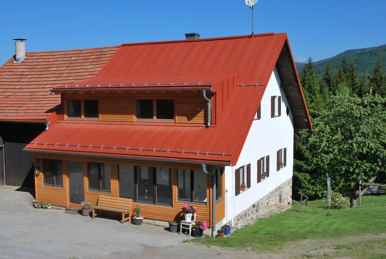 Ferienhaus "Lisa'S Haeusl" Neuschönau Extérieur photo